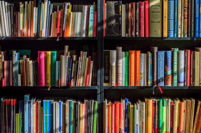 boutique-BREIL SUR ROYA-min_books_bookstore_book_reading_shop_writer_sale_books_read-822866
